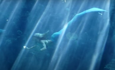 Snimak iz akvarijuma potresao milione: Sirena mahala publici, a onda je uslijedio jeziv napad (VIDEO)