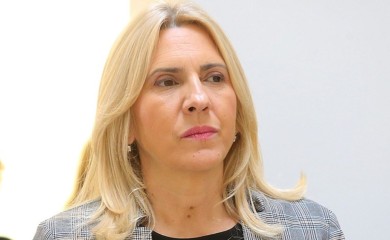 Cvijanović o Šmitu: Glavna prepreka unutrašnjem dijalogu i evropskom putu BiH