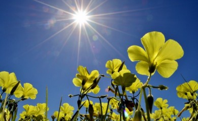 U nedjelju u Srpskoj prijatno toplo i sunčano