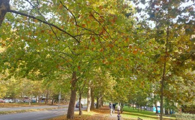 Prvog novembarskog dana sunčano i toplo, dan skoro kao ljetni