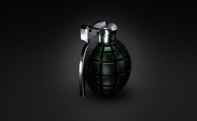 Pas iskopao tri ručne bombe