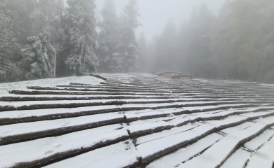 Zabiljelila krajiška ljepotica