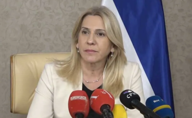 CVIJANOVIĆ: Ustavni sud BiH od pravne države napravio lakrdiju