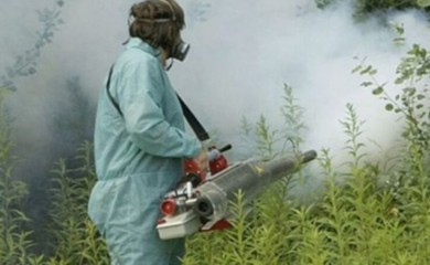 Akcija suzbijanja komaraca u Banjaluci: Evo kada ekipe izlaze na teren