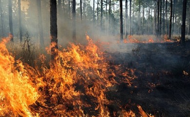 Gori najljepši dio Parka prirode Biokovo, vatrogasci strahuju od juga