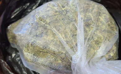 Zaplijenjeno oko 65 kilograma marihuane