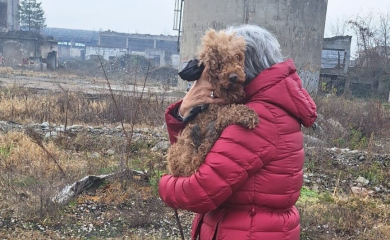 Nakon višednevne potrage pronađen pas Flopi