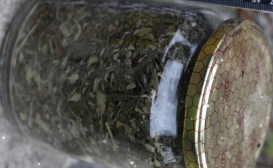 Kod Dobojlije pronađena droga