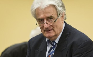 Porodica Radovana Karadžića tužila SAD