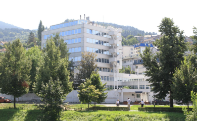 Da li je PIC rješenje za bh. probleme, i to bez SNSD-a?