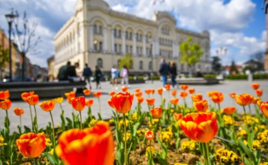Temperatura do 32 stepena: Vrijeme danas sunčano, sa povremenom kišom