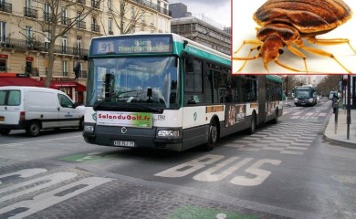 Panika u Francuskoj: Krvopije preplavile državu (VIDEO)