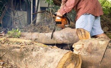 Tokom sječe šume poginuo muškarac