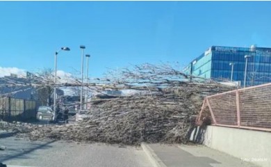 Padaju stabla, sprema se oluja: Nevrijeme u Hrvatskoj i Srbiji