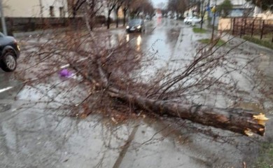 Oluja u Bijeljini: Vjetar skinuo lim s krova zgrade i obarao stabla, padao i led