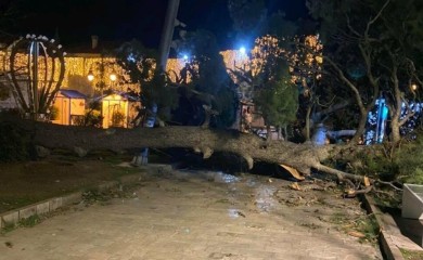 Jaka bura lomi drveće u Crnoj Gori, zatvoren tunel Mogren