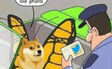 Tviter ima novi logo: Ilon Mask plavu pticu zamijenio fotografijom popularnog memea