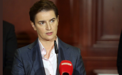 BRNABIĆEVA: Srbija u potpunosti poštuje principe međunarodnog prava