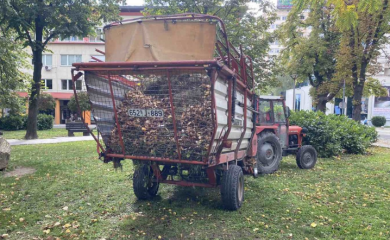 BANJA LUKA: Počelo sakupljanje lišća sa javnih površina
