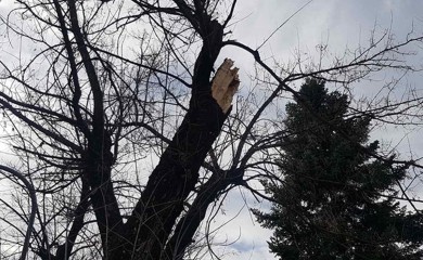 Oluja u Kruševcu lomila grane i skidala crijepove (VIDEO)