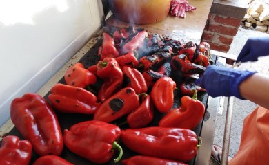 Povrtari zadovoljni prinosom paprika, ali nedovoljno ambalaže za zimnicu