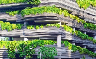 Arapi napravili najveću farmu usred pustinje, menadžer proizvodnje iz Banjaluke (VIDEO)