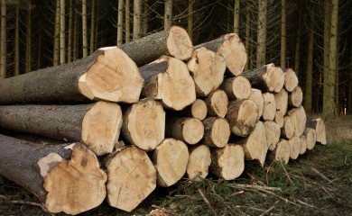 Po domaćinstvu maksimalno 7 paleta, vodiće se i evidencija kupaca