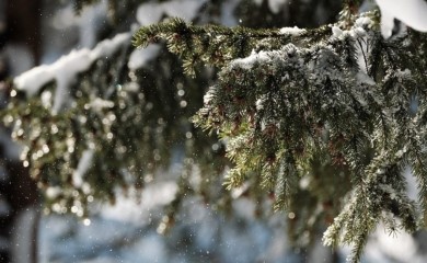 Zimski ponedjeljak, temperatura ispod nule