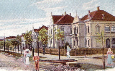 Banjalučki drvoredi imaju svoju istoriju