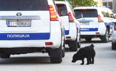 Uhapšena baba dječaka osumnjičenog za ubistvo brata kod Mladenovca