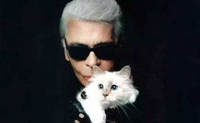 Karl Lagerfeld želio oženiti svoju mačku
