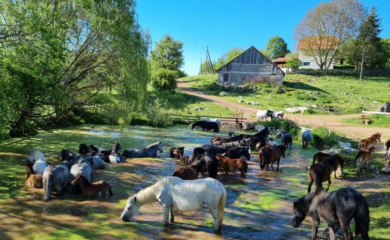 MIJATOVIĆ: Romanija na mapi značajnih turističkih destinacija