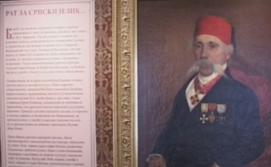 Vuk Stefanović Karadžić - Reformator srpskog jezika