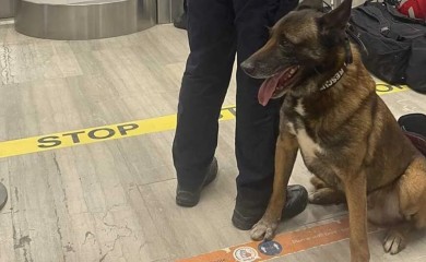 "Vatrogasac Zigi" otputovao u Tursku