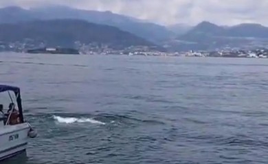 Agent "Mosada" koji se udavio u jezeru Mađore istraživao iransko oružje?
