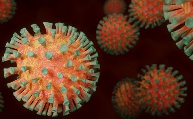 KORONA: U FBiH jedna osoba preminula, još 71 novozaražena