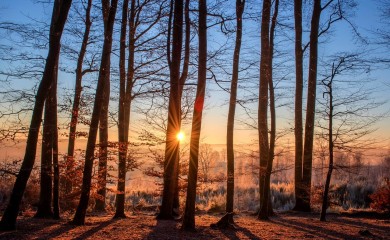 Vrijeme sunčano, temperatura do 24 stepena