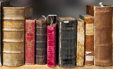 Vesni Kapor nagrada "Đuro Damjanović"