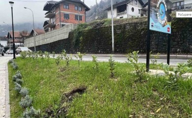 Počupane sadnice na novoj gradskoj plaži u Banjaluci