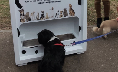 Popravljena hranilica za pse, Grad želi da nabavi nove