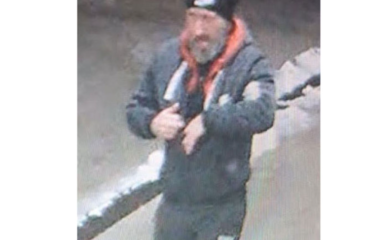 Lopov policajcima umakao u šumu: Potraga za osumnjičenim državljaninom Srbije tri dana bez rezultata