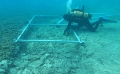 Na Korčuli pronađen podvodni ostatak puta starog gotovo 7.000 godina