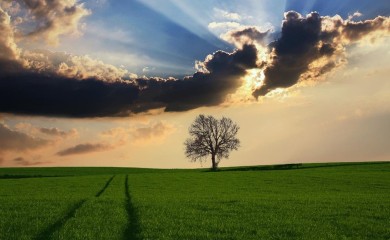 Sutra umjereno oblačno sa sunčanim intervalima