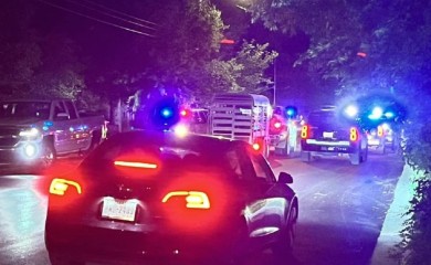 Odbjegli bik podigao cijeli grad na noge (VIDEO)