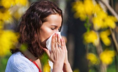 Svaki treći čovjek alergičan: Polen trave i lipe puni ambulante u Banjaluci