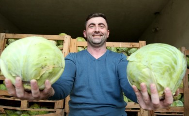 Ljubiša Petrović skuplja potpise i formira udruženje građana?