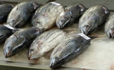 U Tokiju tuna prodata za 273.000 dolara