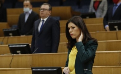 VULIĆ: Bolan krik PDP-a nakon smjene Aleksandra Zolaka