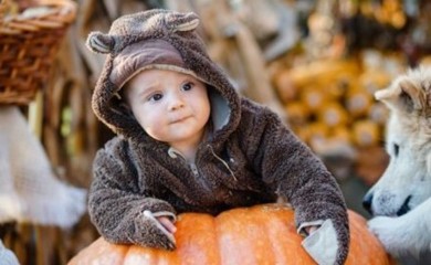 Završen konkurs "Banjaluka u jesenjim bojama"