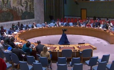 SAD uložile veto na rezoluciju u SB UN o prekidu vatre u Pojasu Gaze